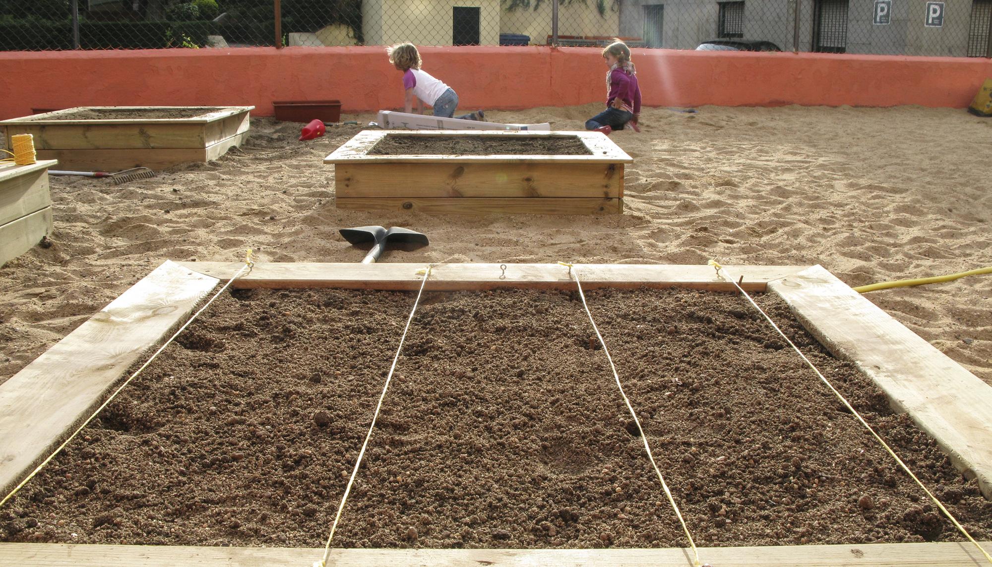 Huerto urbano en escuela pública